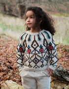 Serendipity alpaca jewel sweater - multi